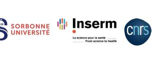 11 projets retenus dans le cadre appel à propositions lancé par la faculté de Médecine de Sorbonne Université