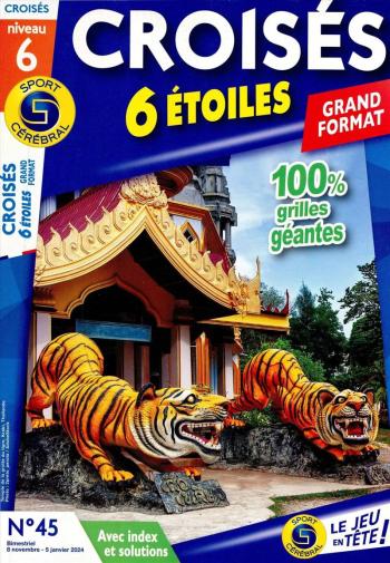 Croisés 6 Étoiles grand format