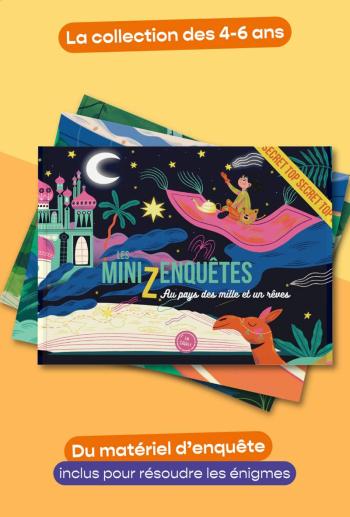 Les miniZenquêtes