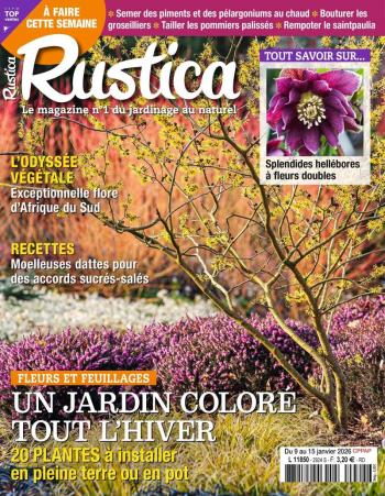 Rustica