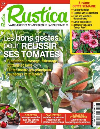 Rustica