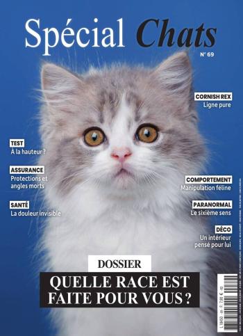 Spécial Chats