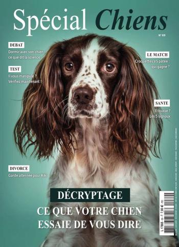 Spécial Chiens