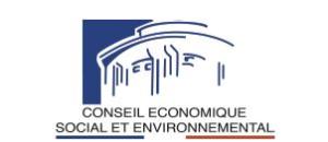 Le Conseil économique, social et environnemental (CESE) préconise plus de moyens pour les EHPAD