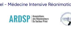 Médecine Intensive Réanimation 10 propositions d'urgence pour des services de réanimation résilients et pérennes