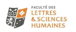 D.U Santé Psychologique au Travail de La Faculté des Lettres & Sciences Humaines de Lille