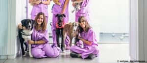 Savez-vous combien de vétérinaires sont formés chaque année en France ?