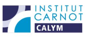 Institut Carnot CALYM porte un appel à projet structurant d'avenir à un million d'euros