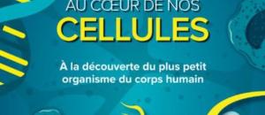 Voyage au cœur de nos cellules