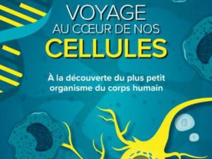  alt="Voyage au cœur de nos cellules"